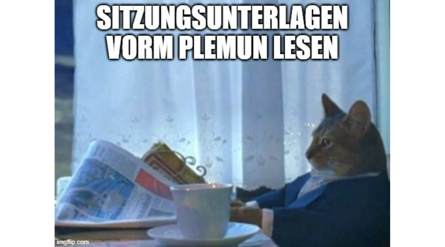 Katze im Anzug am Frühstückstisch mit Zeitung. Überschrift: "Sitzungsunterlagen vorm Plenum lesen"