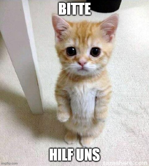 Hilfe Meme Katze Hilfe