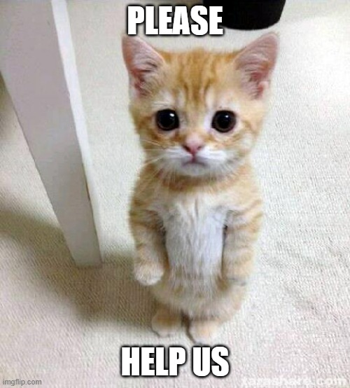 HELP Cat Help